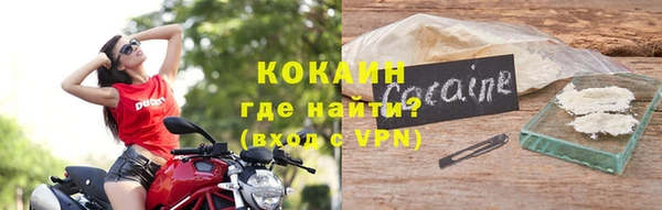 тгк Нея
