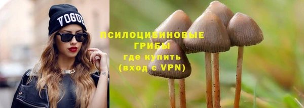 гидра Нефтегорск
