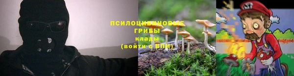 гидра Нефтегорск