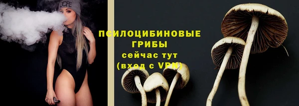 гидропоника Нефтекумск