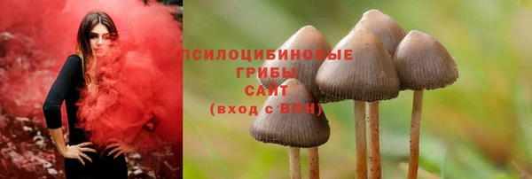 тгк Нея