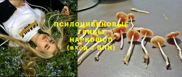 тгк Нея