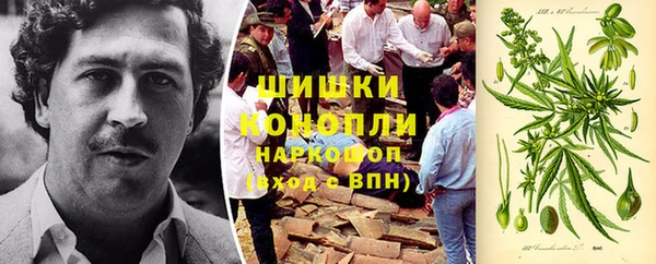 тгк Нея