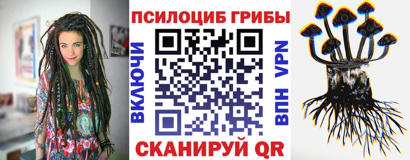 Псилоцибиновые грибы Cubensis  наркота  Семёнов 